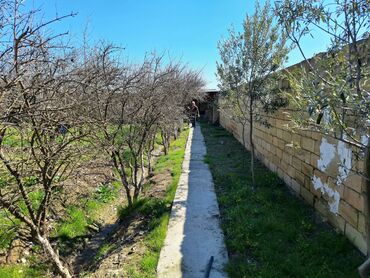 Həyət evləri və villaların satışı: 6 otaqlı, 200 kv. m, Kredit yoxdur, Orta təmir — 22