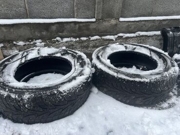 рекс 2 7: Шиналар 235 / 65 / R 16, Winter stud, Колдонулган, Жуп, Жүк ташуучу унаалар/Автобустар, Германия, Sailun