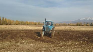 Тракторы МТЗ (Беларус): Модель: 80, Б/у, Трактор с другими агрегатами — 7