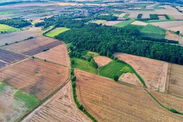 каракол квартира продажа: Айыл чарба үчүн, Сатып алуу-сатуу келишими