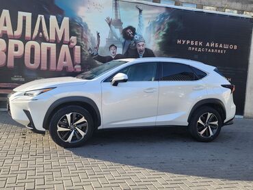 Lexus: Lexus NX: 2019 г., 0.2 л, Автомат, Бензин, Кроссовер