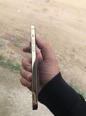 quest 2: IPhone 13 Pro, 256 GB, Rose Gold, Face ID, Sənədlərlə — 3