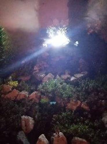 Baštenska rasveta: SOLARNI LED REFLEKTOR NOVA SOLARNA BASTENSKA LAMPA AKCIJA | Cene — 17