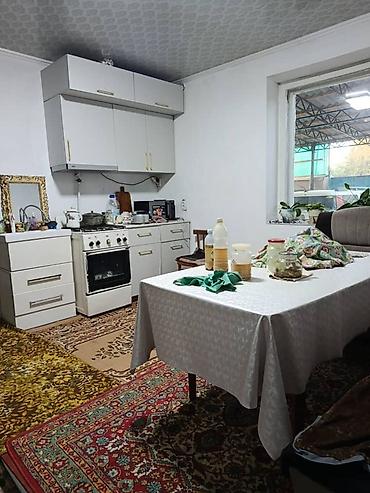 Продажа домов: Большой Дом с участком в 10 соток и хозяйственными постройками в самом — 5