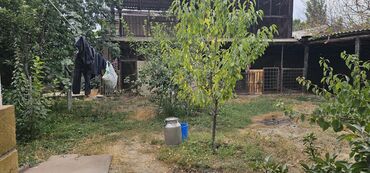 Продажа домов: Дом, 200 м², 5 комнат, Собственник, Косметический ремонт — 4