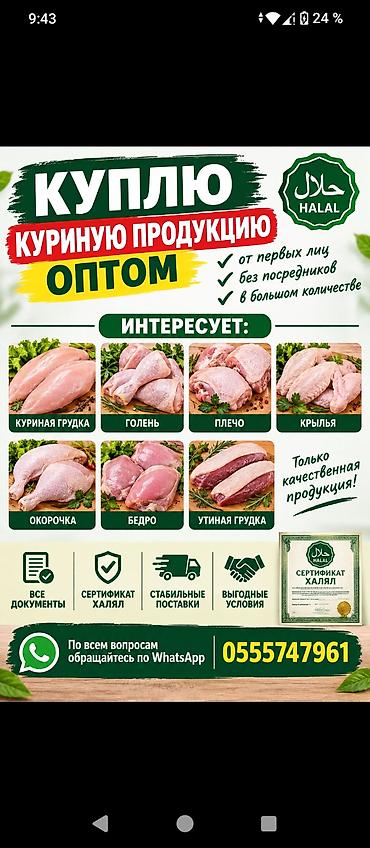 Куплю куриную продукцию оптом. от первых лиц. без посредников. в