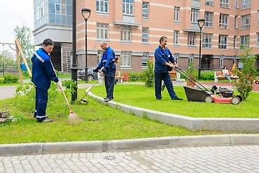 прополка: Уборка территории, Уборка снега, Уборка двора и сада, Чистка брусчатки — 2