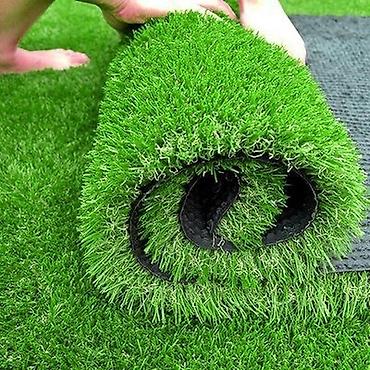 цветы монетка: 🌿 ХОТИТЕ ВСЕГДА ЗЕЛЁНЫЙ ГАЗОН? Мы предлагаем: ✔️ Продажу — 3