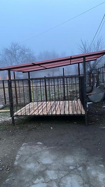 Товары и оборудование для с/х животных: Койкана койго жана козуга ылайыкташкан краскасын кылып берем 8 баш — 1