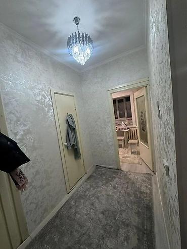Батирлер: 1 бөлмө, Восток-5 мкр Кыймылсыз мүлк агенттиги, Жаныбарлары жок, 1 айдан баштап, 3 айдан баштап, 6 айдан баштап, Жарым -жартылай эмереги бар — 3