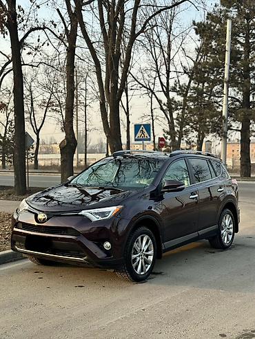 elantra 2016: Toyota RAV4: 2016 г., Бензин — 1