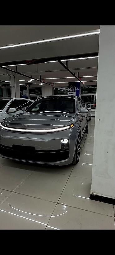 byd e6: Lixiang L9: 2024 г., Гибрид, Кроссовер — 3