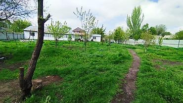 жер ак ордо 1: 6 бөлмө, 750 м², 7 соток, Новониколаевка, Менчик ээси — 2