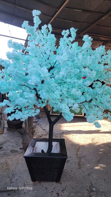 Декоративные цветы: Сакура искусственное дерево высота 2 м ширина 2 м цена от 1000 сом at lalafo.kg — 10 Декоративные цветы: Сакура искусственное дерево высота 2 м ширина 2 м цена от 1000 сом — 10