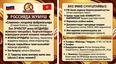 Требуется Упаковщик, Оплата: Дважды в месяц, Без опыта