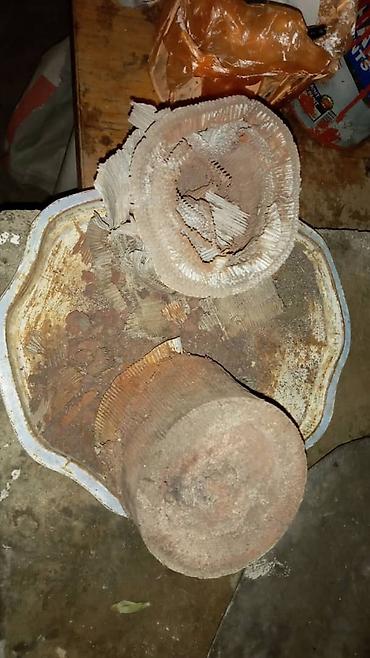 Скупка катализаторов: Скупка катализаторов катализатор катализаторов прием — 5