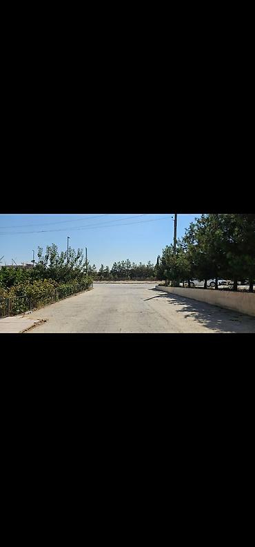 yeni emlak kiraye: Şirvan şəhərində Apellyasiya məhkəməsinin yanında sahəsi 1000 kv.m — 9