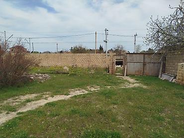 goradil: 4 sot, Tikinti, Maklerlər narahat etməsin, Kupça (Çıxarış) — 2