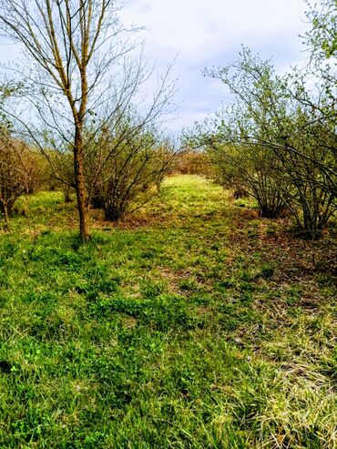 Bağ evlərinin satışı: Xaçmaz, 300 kv. m, 4 otaqlı, Qaz, İşıq — 5