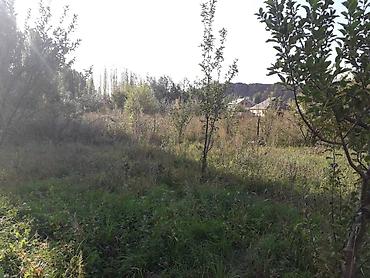 талас терек: 20 соток, Курулуш, Кызыл китеп — 8