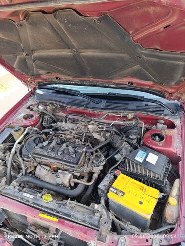 Nissan: Nissan Primera: 1999 г., 1.8 л, Механика, Бензин, Седан — 14