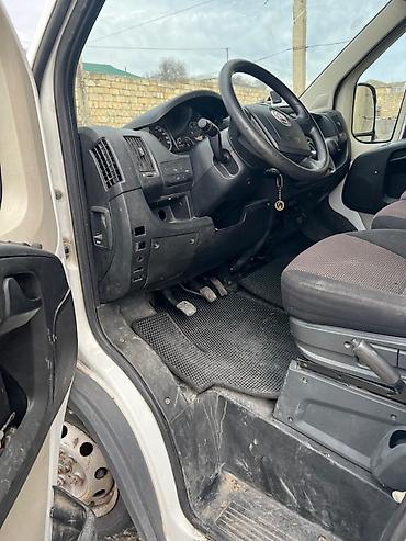 batinka hərbi: Fiat Ducato: 2.3 l | 2012 il 180000 km Van body type — 6