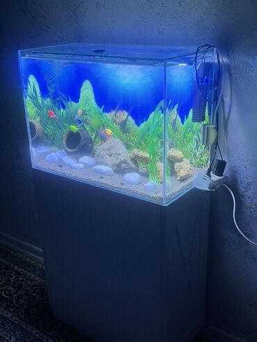 Akvariumlar: Akvarium-şkaf, Balıqlarla birlikdə, 90 l, Ödənişli çatdırılma — 6