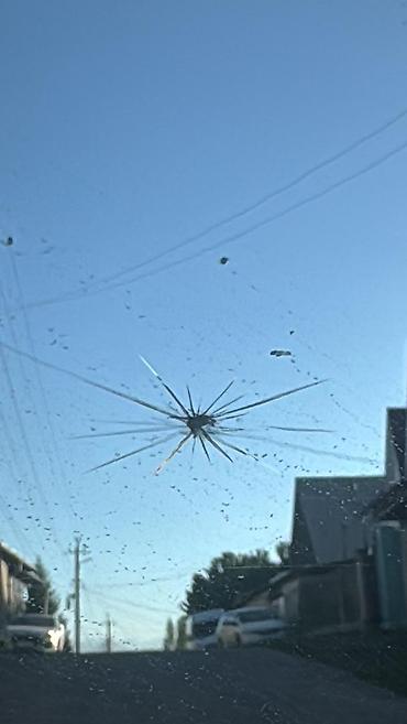 авто стекло: Ремонт лобовых стекол автомобиля — 1