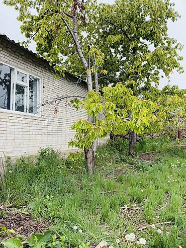 отдых ыссык ата: Продается дом с мансардой в с. Бактуу-Долоноту. Продается дом с — 6