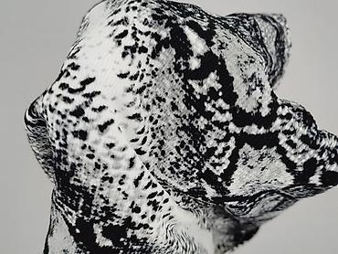 spódnice leopard: Selected Femme, Sukienka damska, rozmiar XL — 6