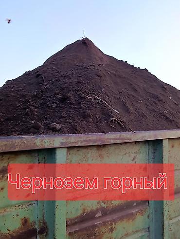 plaud note: В тоннах, Зил, Камаз, Хово — 2
