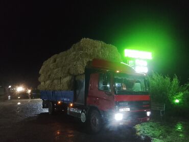буу автомат машина: Грузовик, DAF, Стандарт, Б/у