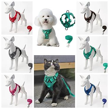 Зоотовары: Питомец вечно дёргает поводок во время прогулок?Представляем вам — 16