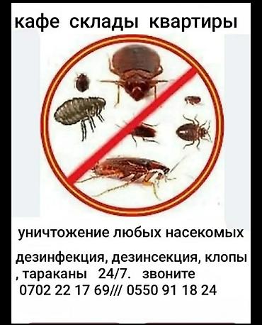 кел кел: Токмок Токмок Токмок Кант БишкекПрофессиональная обработка от — 1