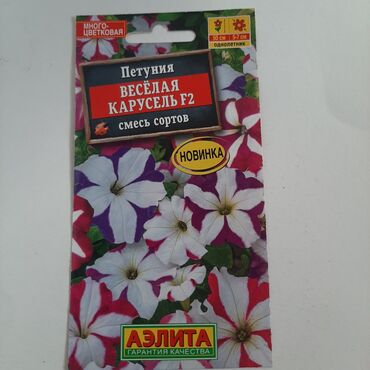 Buket güllər: Məhsul: Petunya toxumları – Aelita (Rusiya istehsalı), F2 hibrid