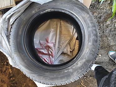 Π¨ΠΈΠ½Ρ 215 / 55 / R 16, ΠΠΈΠΌΠ°, Π/Ρ, ΠΠΎΠΌΠΏΠ»Π΅ΠΊΡ, ΠΠ΅Π³ΠΊΠΎΠ²ΡΠ΅, Π―ΠΏΠΎΠ½ΠΈΡ, Bridgestone at lalafo.kg Π¨ΠΈΠ½Ρ 215 / 55 / R 16, ΠΠΈΠΌΠ°, Π/Ρ, ΠΠΎΠΌΠΏΠ»Π΅ΠΊΡ, ΠΠ΅Π³ΠΊΠΎΠ²ΡΠ΅, Π―ΠΏΠΎΠ½ΠΈΡ, Bridgestone
