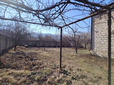 Yeni tikili: 2 otaqlı, Yeni tikili, 110 kv. m -da lalafo.az — 9 Yeni tikili: 2 otaqlı, Yeni tikili, 110 kv. m — 9