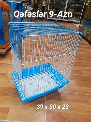 Qəfəslər: Quş qəfəsləri 9-azn müxtəlif rəngləri və modelləri var Kvadrat və Ev — 52