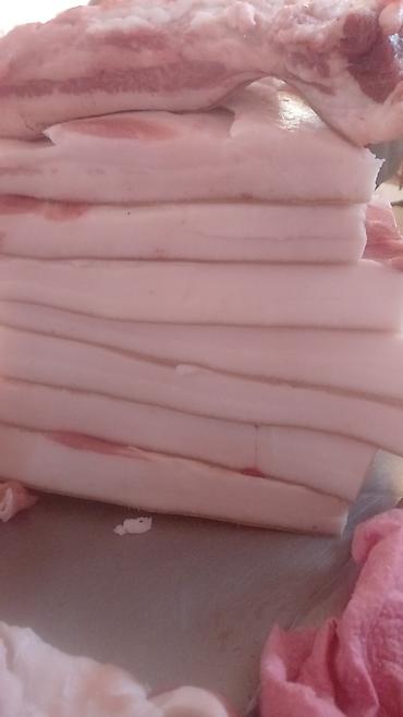 Свиньи: Продаю | Свинья (самка) | На забой — 10