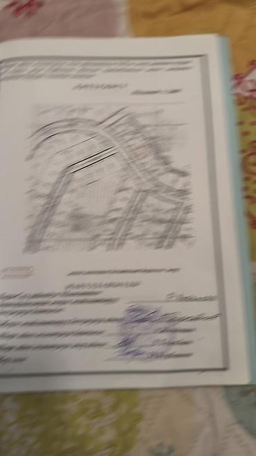 6 соток, Курулуш, Кызыл китеп — 5