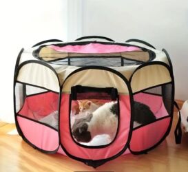 goyərcin yuvaları: Salam. Bala pişiklər üçün almışdım cəmi 1 dəfə istifadə etmişəm