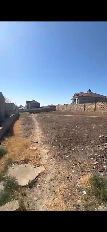 cıxarış: 6 sot, Kənd təsərrüfatı, Mülkiyyətçi, Kupça (Çıxarış) — 4