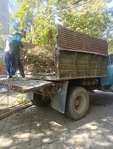 Услуги портера: Вывоз мусора вывоз мусора мусора вывоз мусора вывоз мусора вывоз — 6