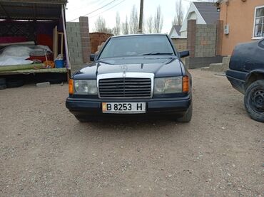 Mercedes-Benz 220: 1989 г., 2 л, Механика, Бензин, Седан