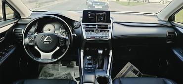 Lexus: Lexus NX: 2019 г., 2 л, Автомат, Бензин, Кроссовер — 11