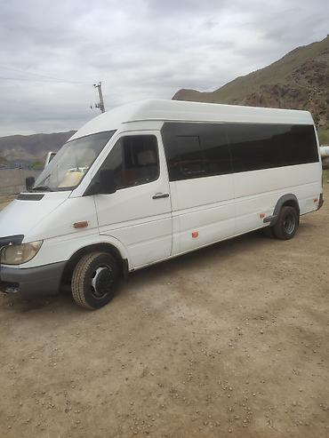 Mercedes-Benz: Mercedes-Benz Спринтер: 2007 г., 2.2 л, Механика, Дизель, Бус — 5