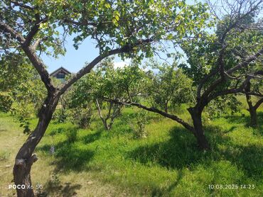 комур баасы бишкек 2023: 🏡 Продаётся дом с большим участком и плодоносящим садом в селе