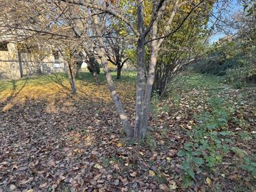 Продажа домов: Дом, 160 м², 5 комнат, Собственник at lalafo.kg — 9 Продажа домов: Дом, 160 м², 5 комнат, Собственник — 9