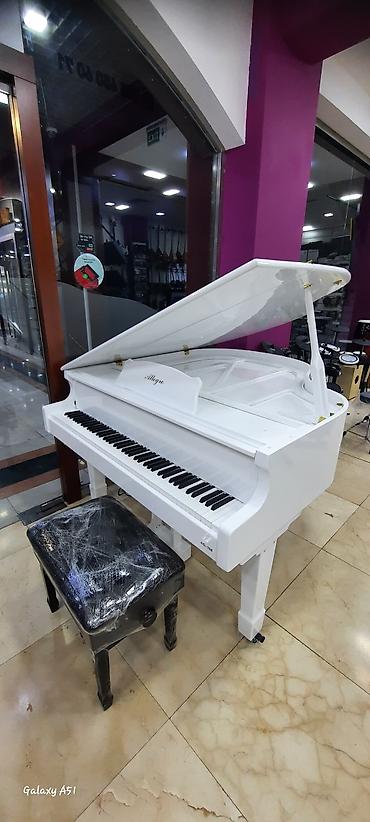 Elektro piano "Allegro" Royal royal ✅ Bir kart və Tam kartla 12, 18