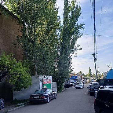 ош особняк: Продаю кирпичный дом (2 этажа) + магазин, село Манас (авиагородок) — 4